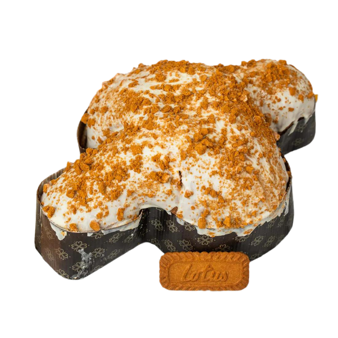 Colomba sbagliata a Lotus